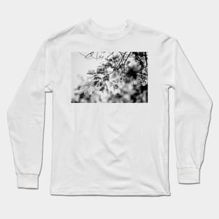 Magic of a Sunny Day Long Sleeve T-Shirt